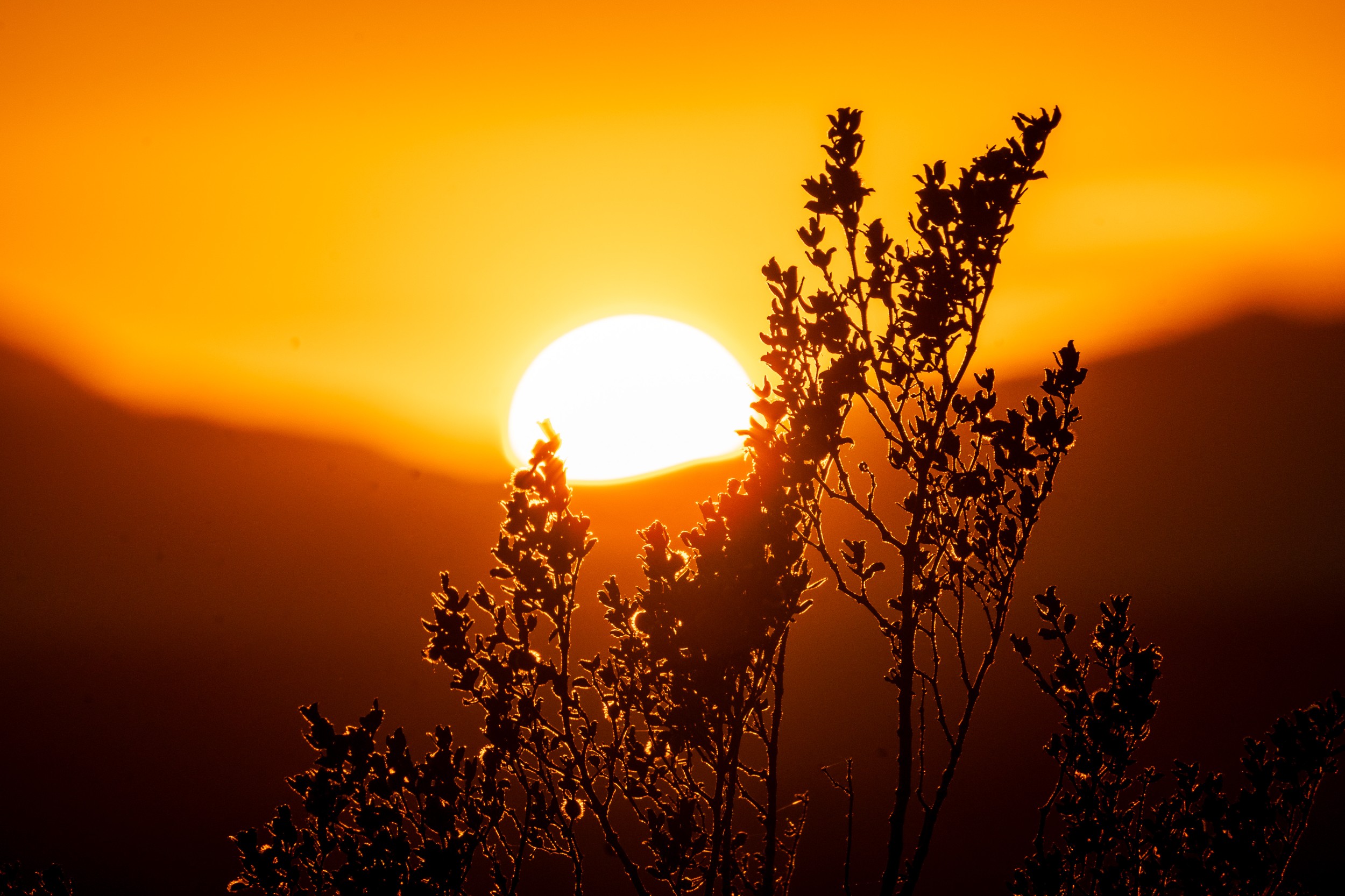 USA 2024 5 Sterne 57